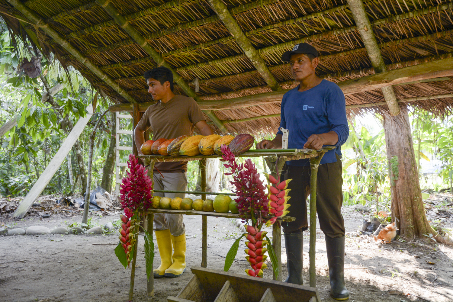 contiki tours me and we ecuador travel experience to minga learning center 99