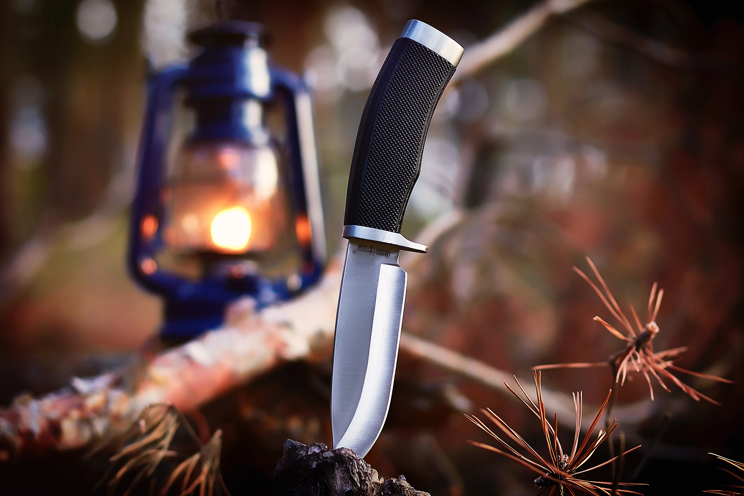 Closeup of a fixed-blade knife stuck in a tree stump with a camping lantern blurred in the background.