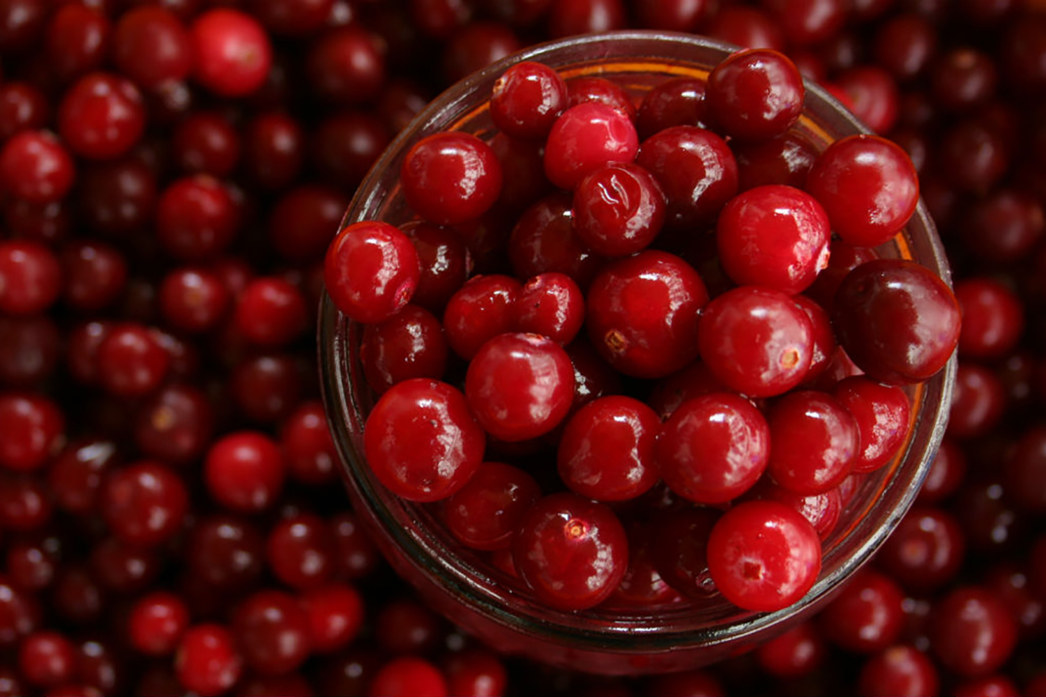 fresh cranberries.