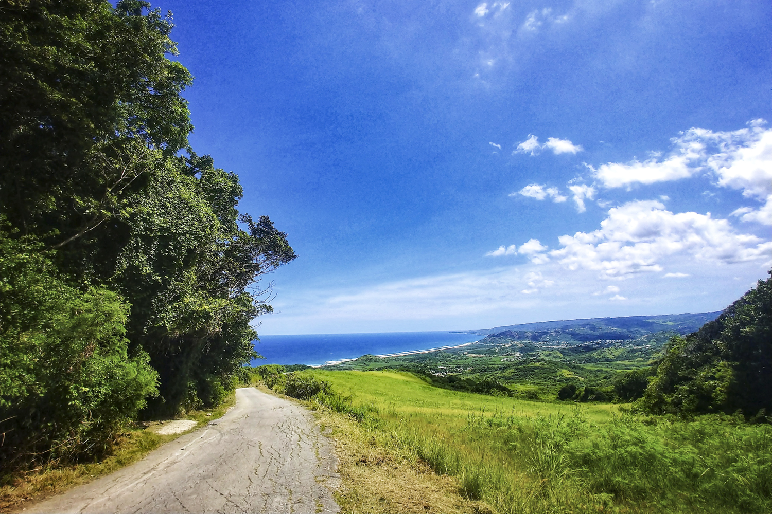 barbados bars restaurants distlleries guide view to the caribbean sea from cherry tree hill reserve 19