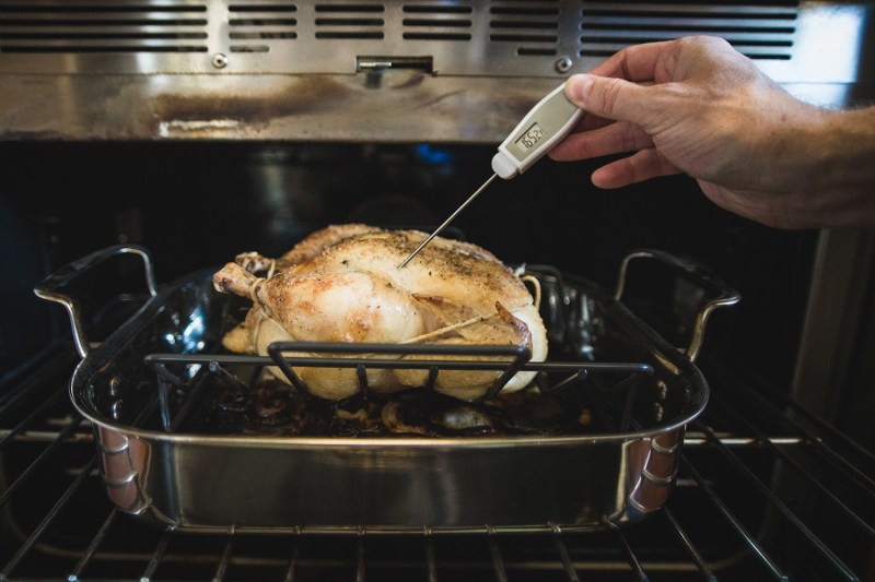 How to Use a Meat Thermometer, According to Experts