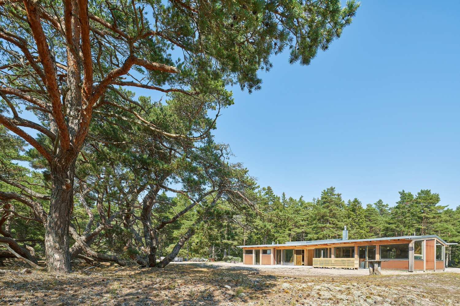 dune cabin gotland sweden images house 4