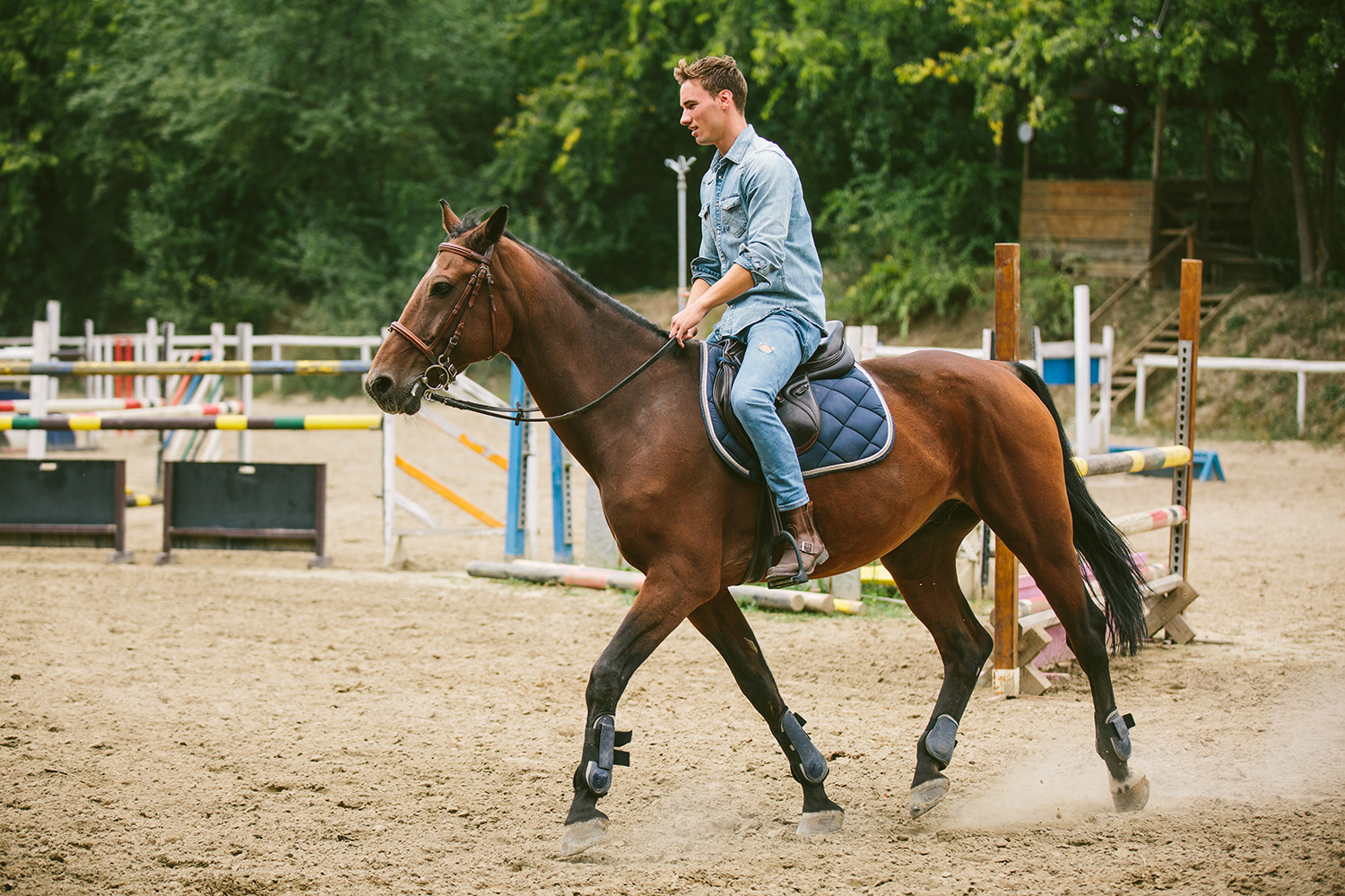 How to Ride a Horse Like a Proper Gentleman The Manual
