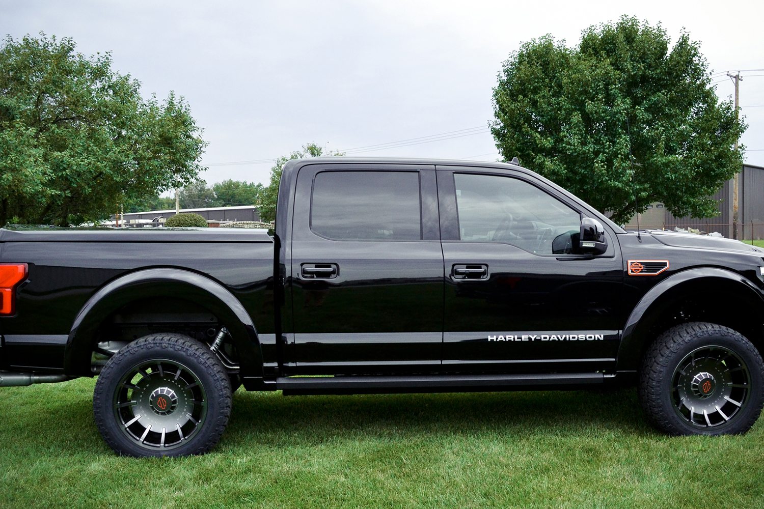 harley davidson ford f 150