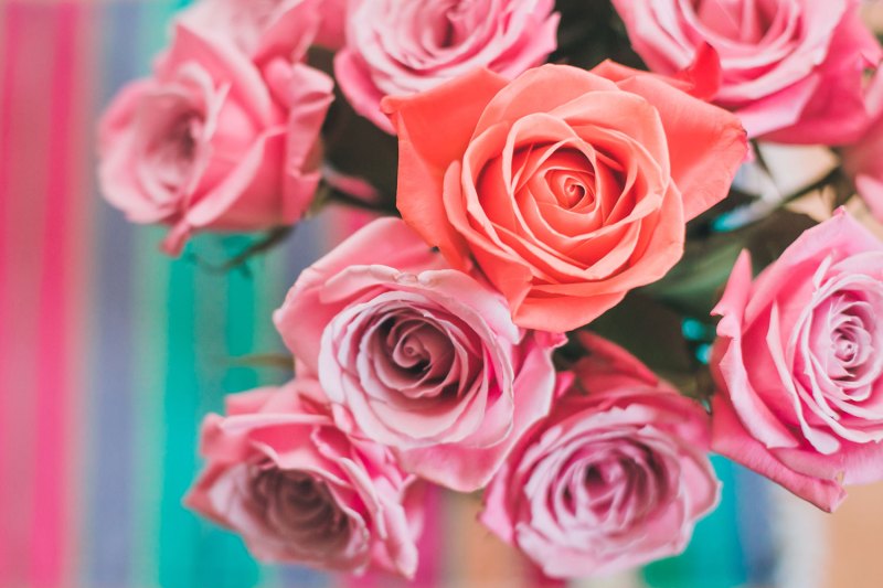 valentines day flowers