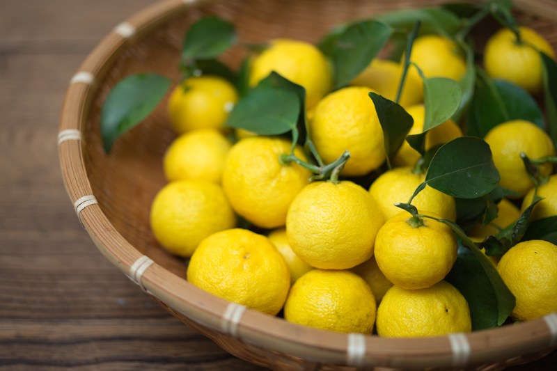 yuzu fruit citrus