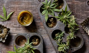 best cannabis cookbook marijuana cookies featb