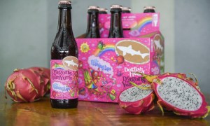 best music band collaboration craft beers dogfish brewing dragons packaging 1