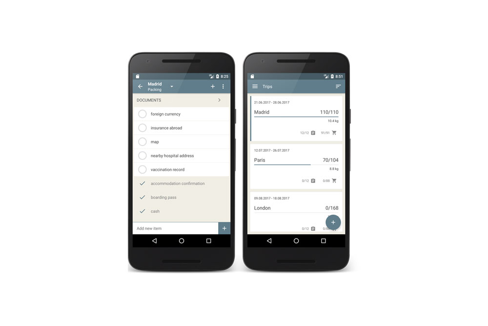 Screenshot of PackTeo travel packing app.