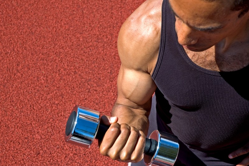 best arm exercises for men bicepcurls