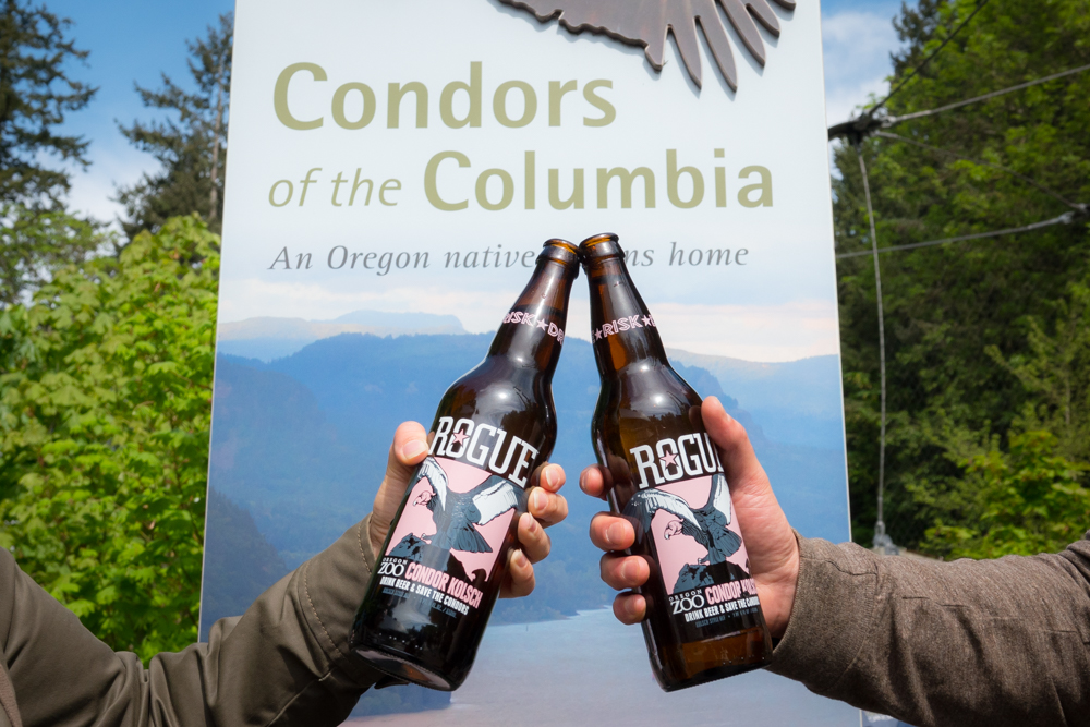 Condor Kolsch from Rogue Brewwin