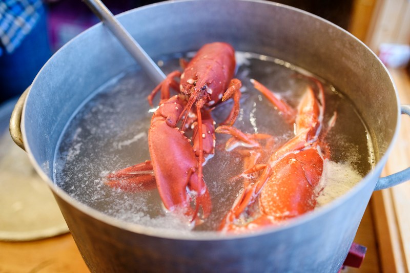how to cook lobster boil