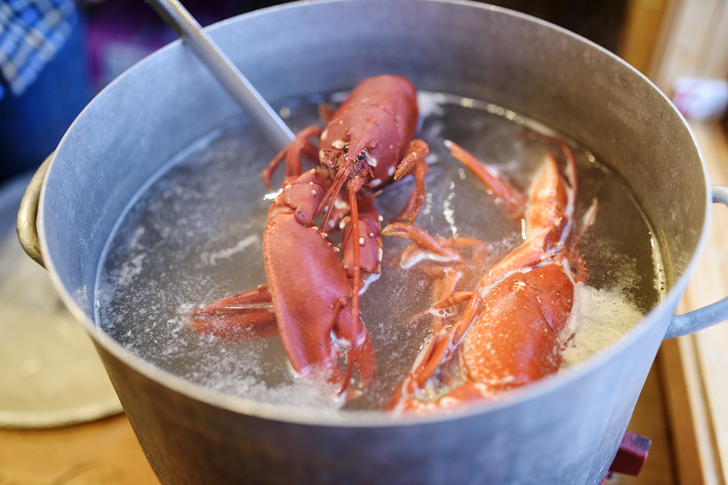 how to cook lobster boil