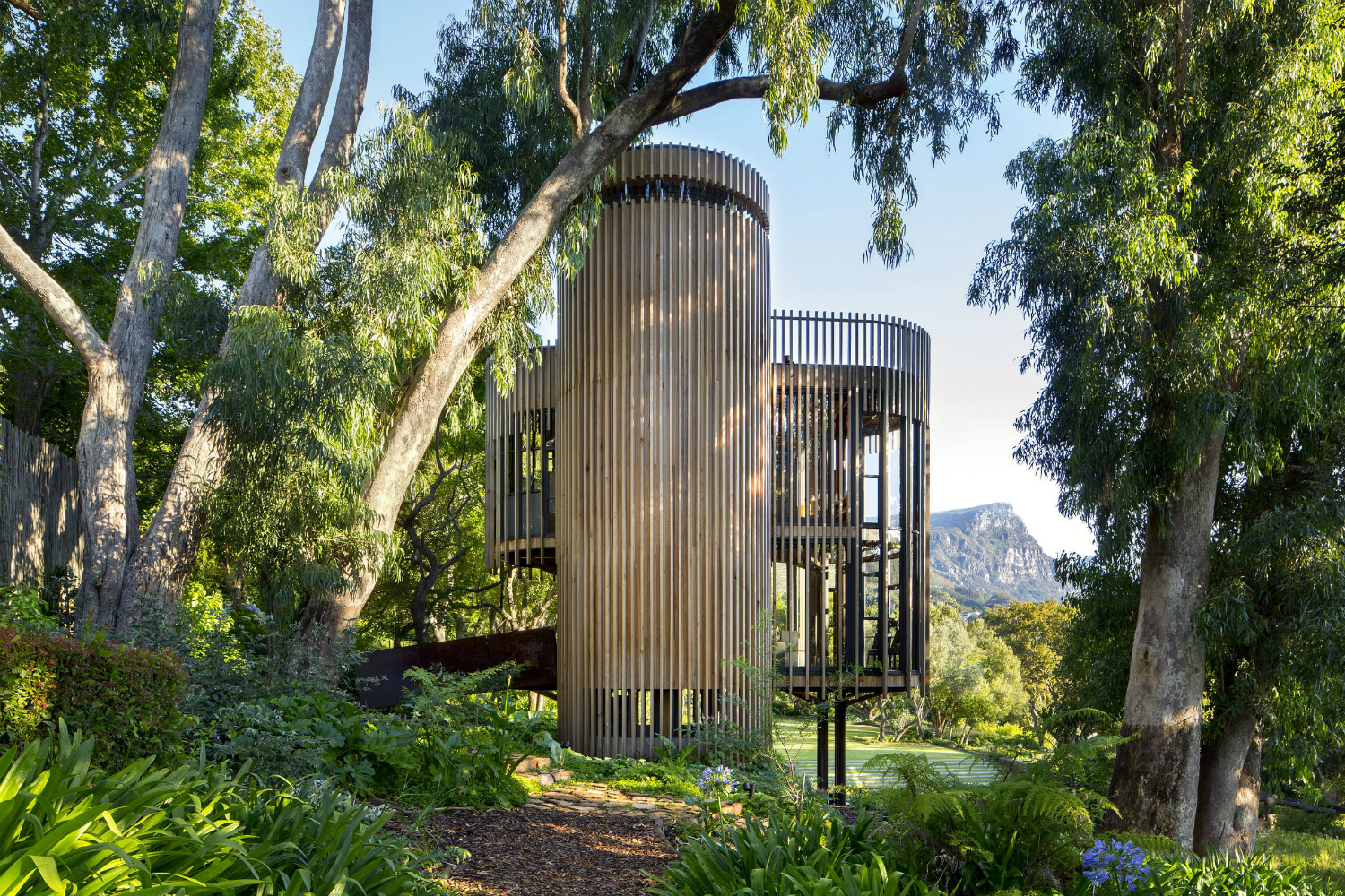 treehouse tree house constantia residence malan vorster 02