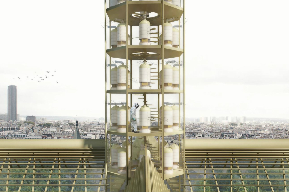 notre dame fire spire resdesign ideas renderings 3