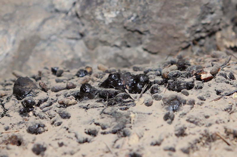 uncleaned shilajit