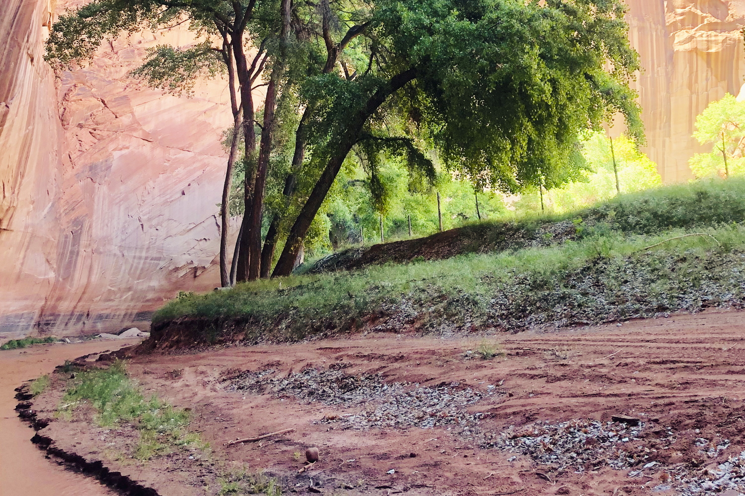 arizona canyon de chelly hike navajo rei adventures  edit 10 hiking up del muerto