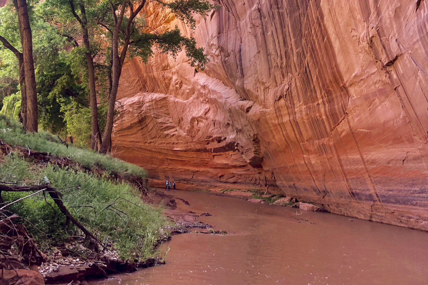 arizona canyon de chelly hike navajo rei adventures  edit 13 hiking below overhanging champagne rock up del muerto