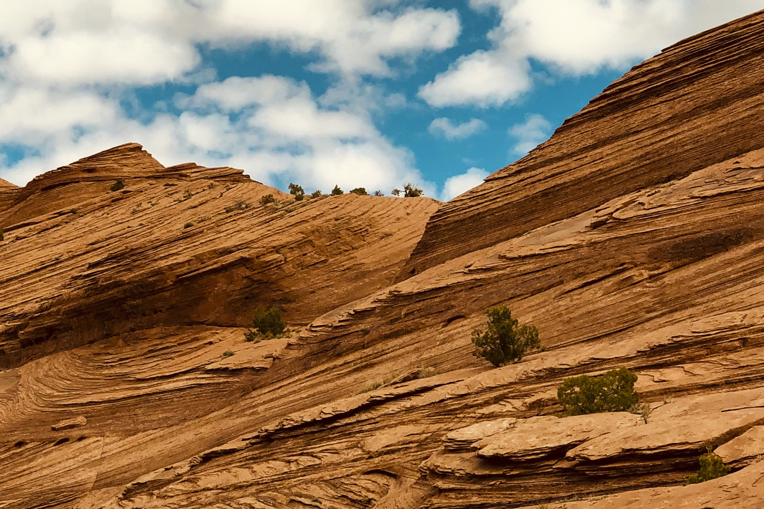 arizona canyon de chelly hike navajo rei adventures  edit 32