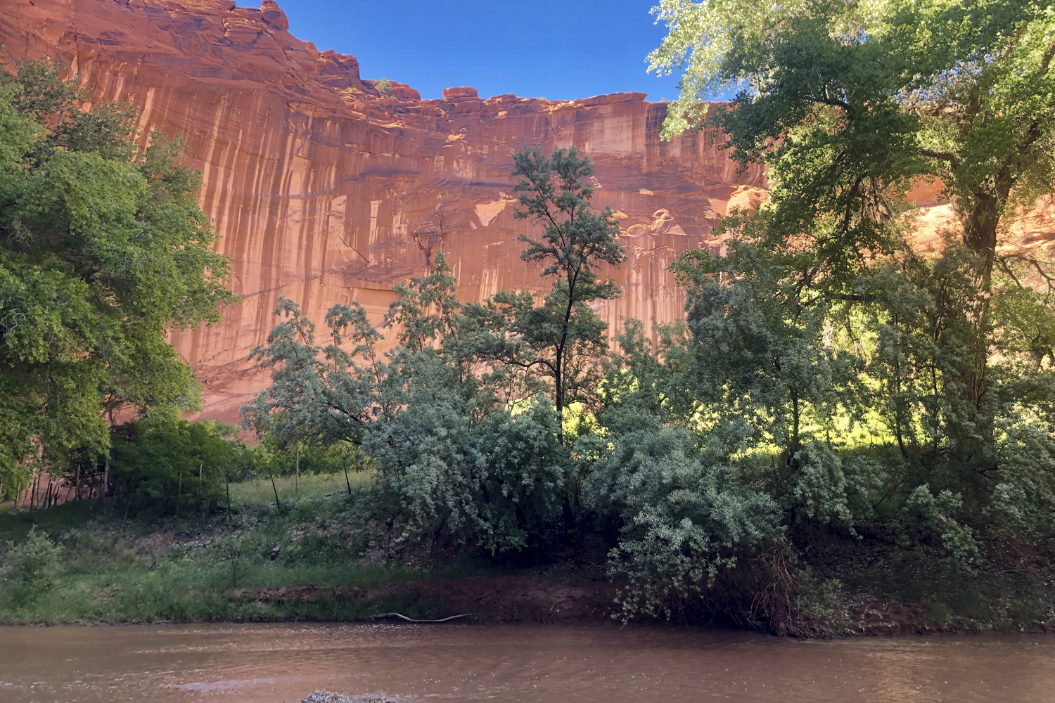 arizona canyon de chelly hike navajo rei adventures  edit 7 hiking up del muerto 2