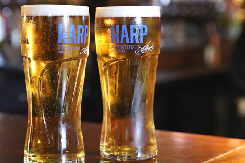 fathers day beers harp lager beer
