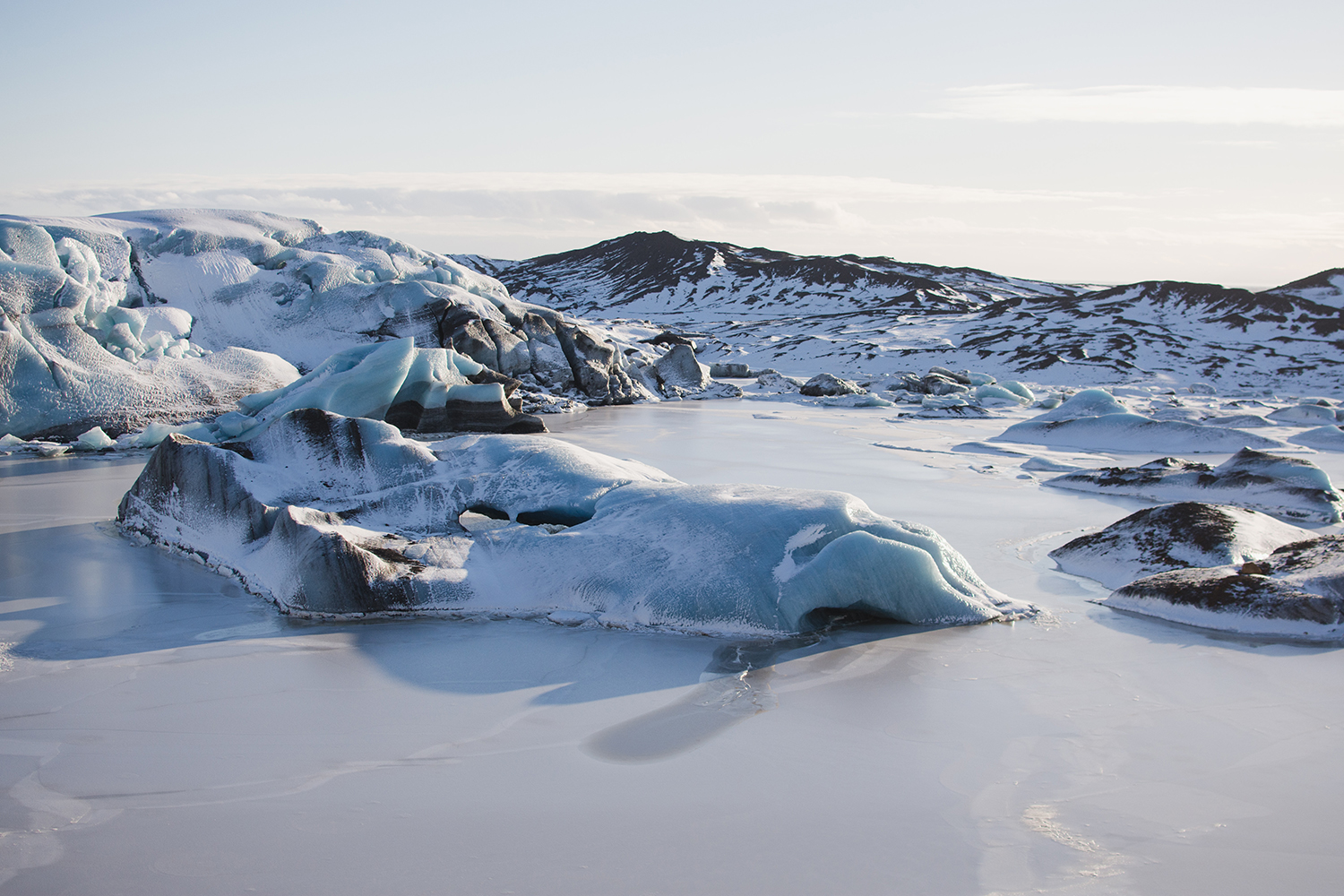 arctic