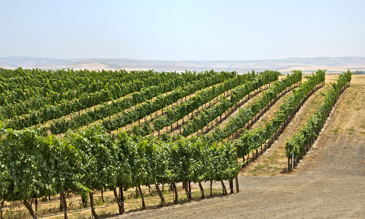 Walla Walla, Washington