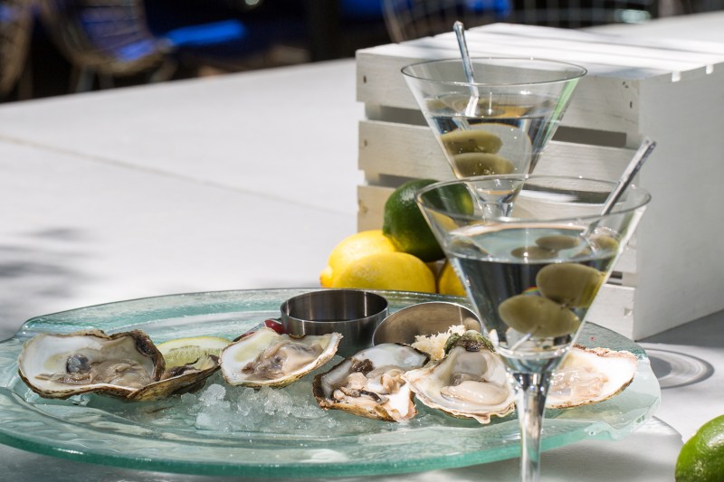 oysters with martinis