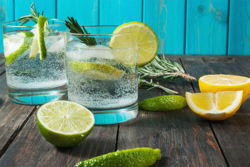 Gin and tonic with lemon and lime