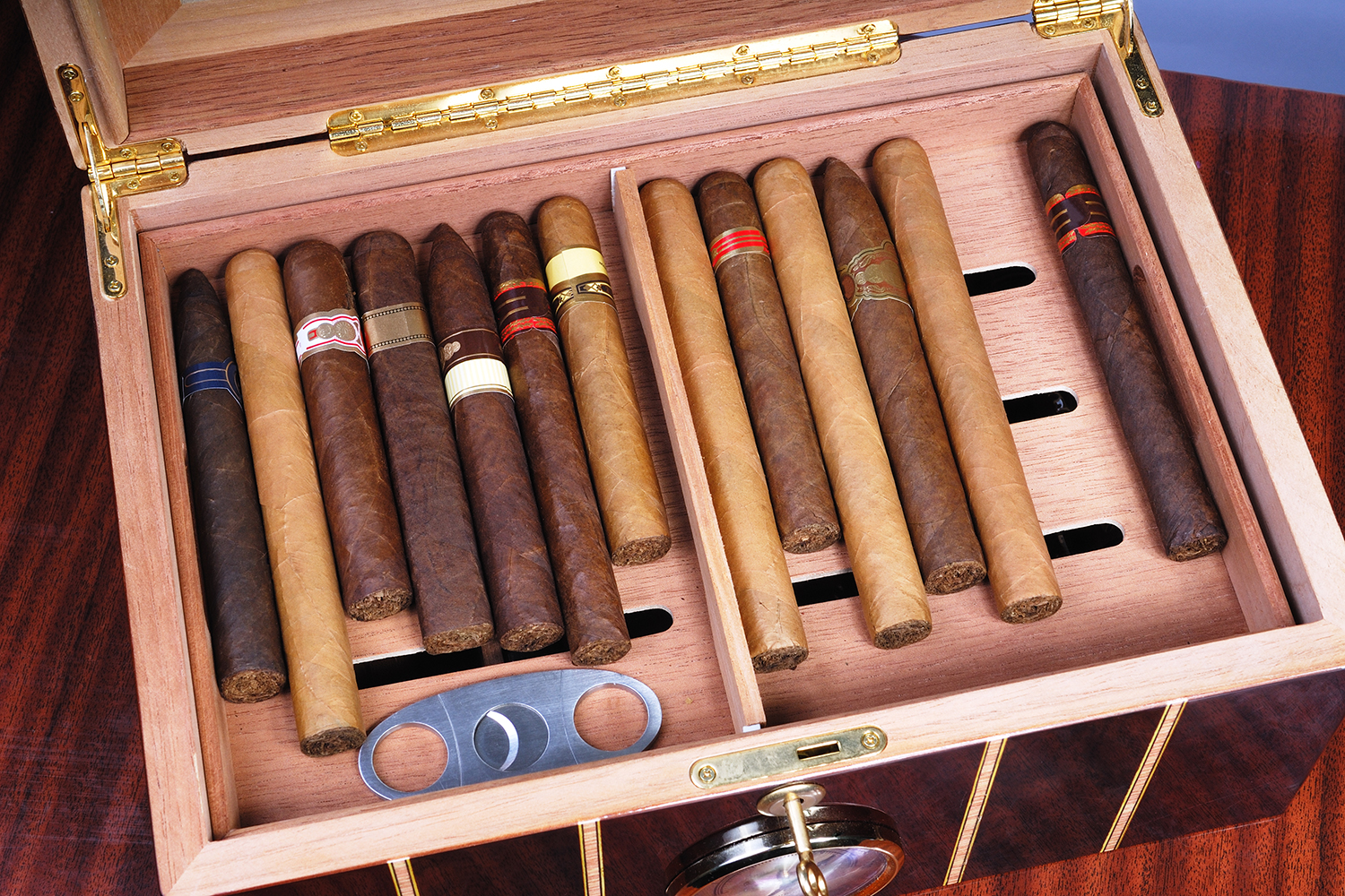 A cigar humidifier full of cigars.