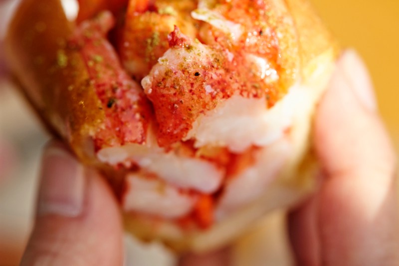 lobster roll close-up