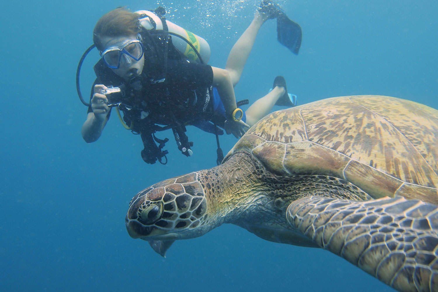 hawaii navy seasl for a day adventure seal in 6