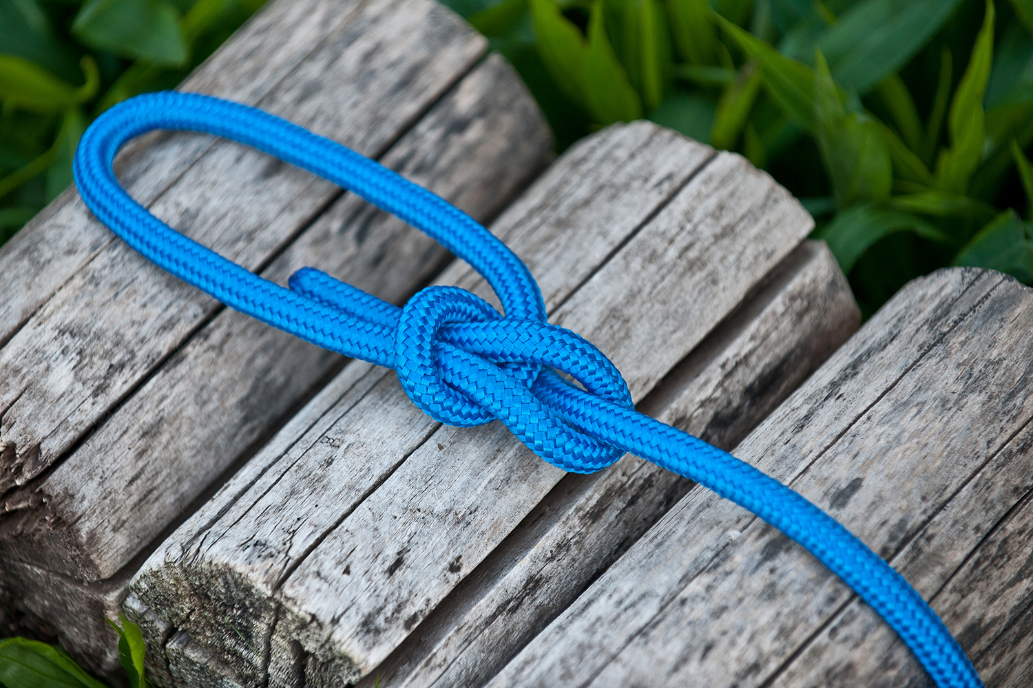 Bowline sailing knot