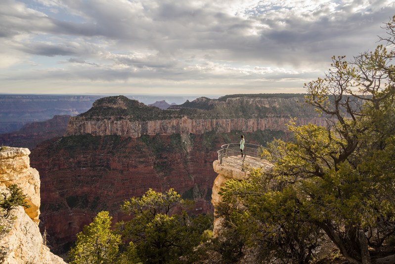 A hiker enjoying the view of the Bright Angel Trail.