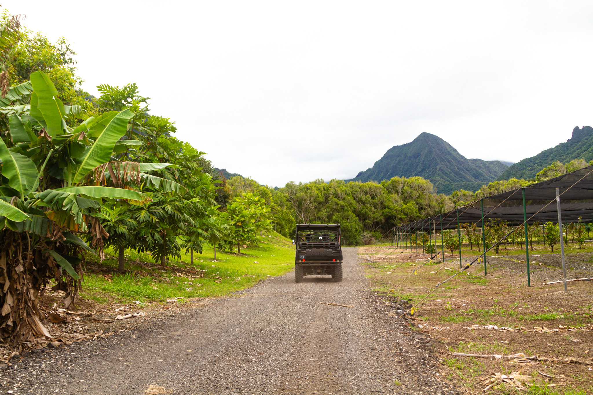 adventure guide to hawaii oahu and kauai press trip 2019 utv raptor tour at kualoa private nature reserve gp 9777