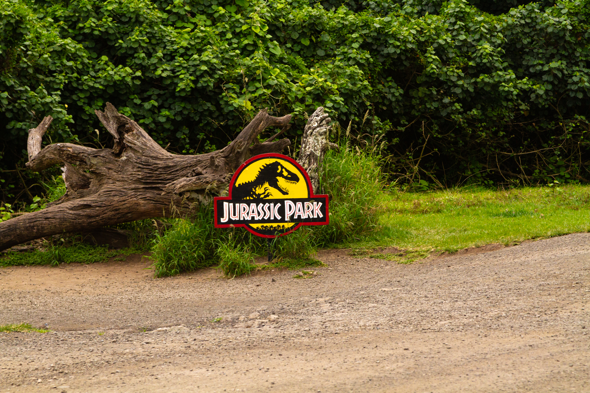 Jurassic Park Sign