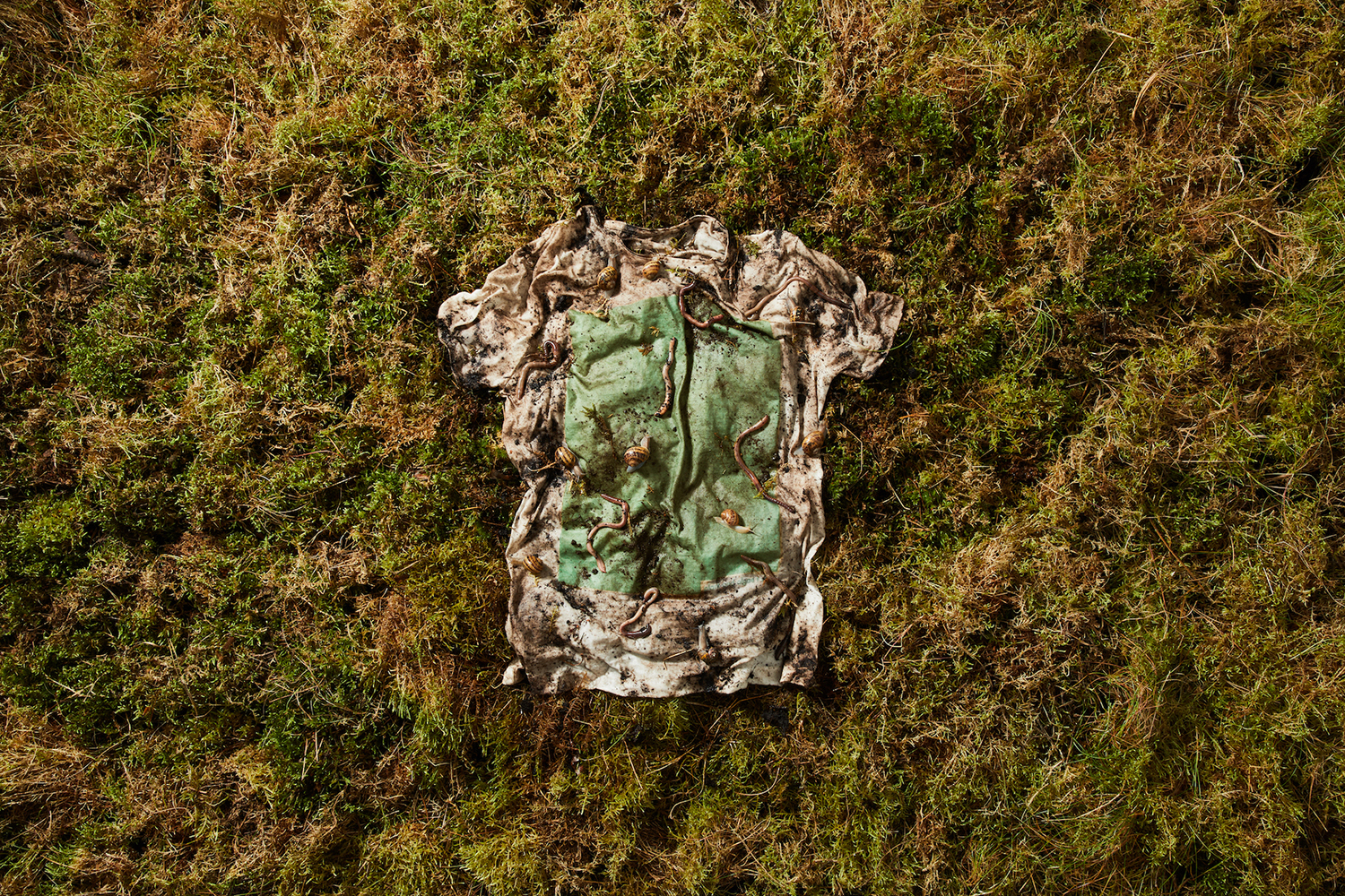 vollebak plant and algae t shirt
