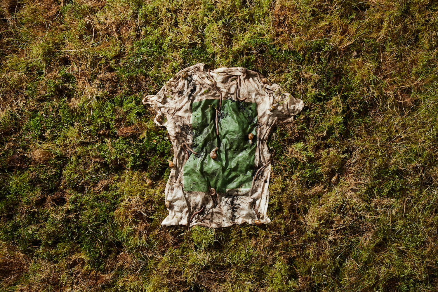 vollebak plant and algae t shirt