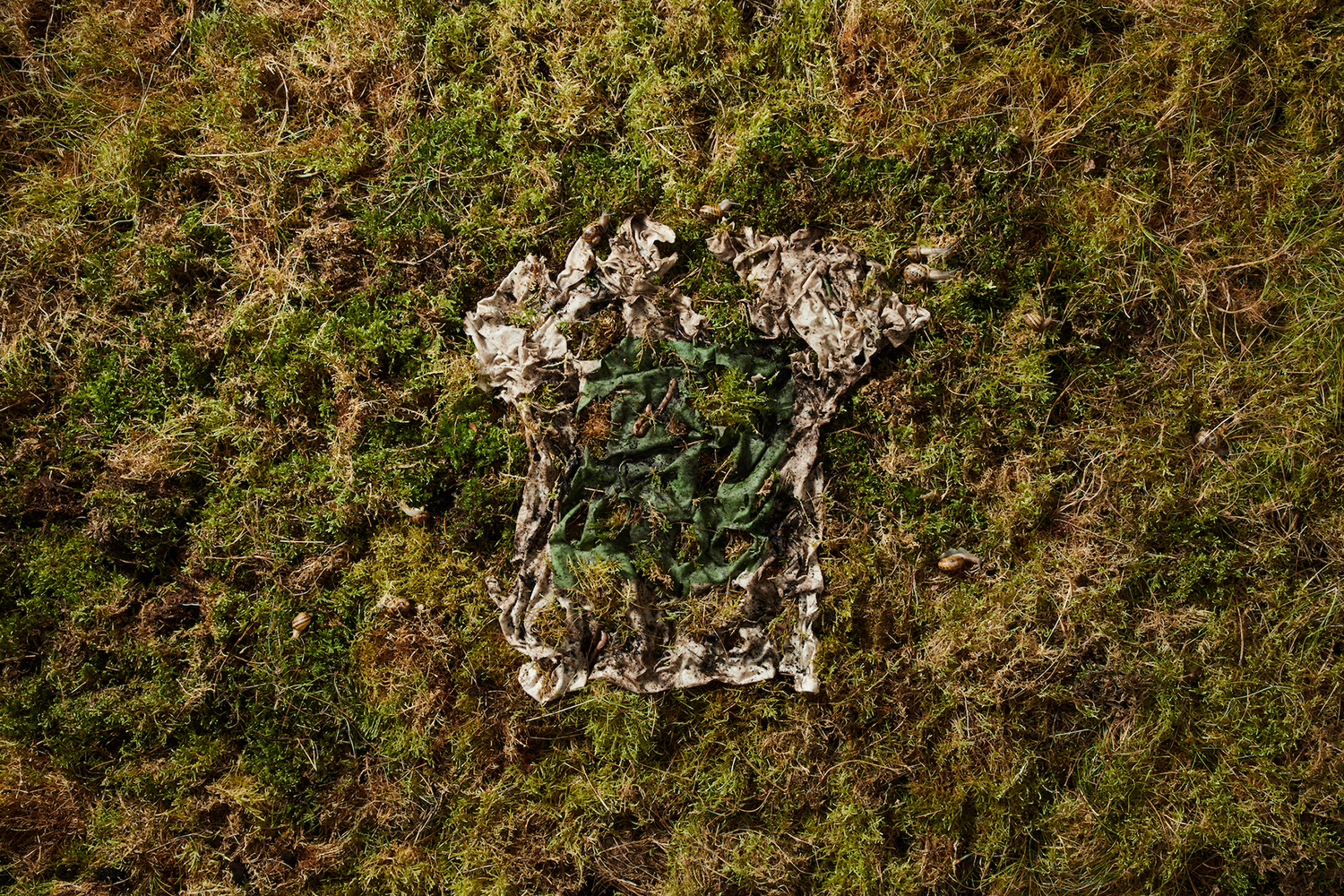 vollebak plant and algae t shirt