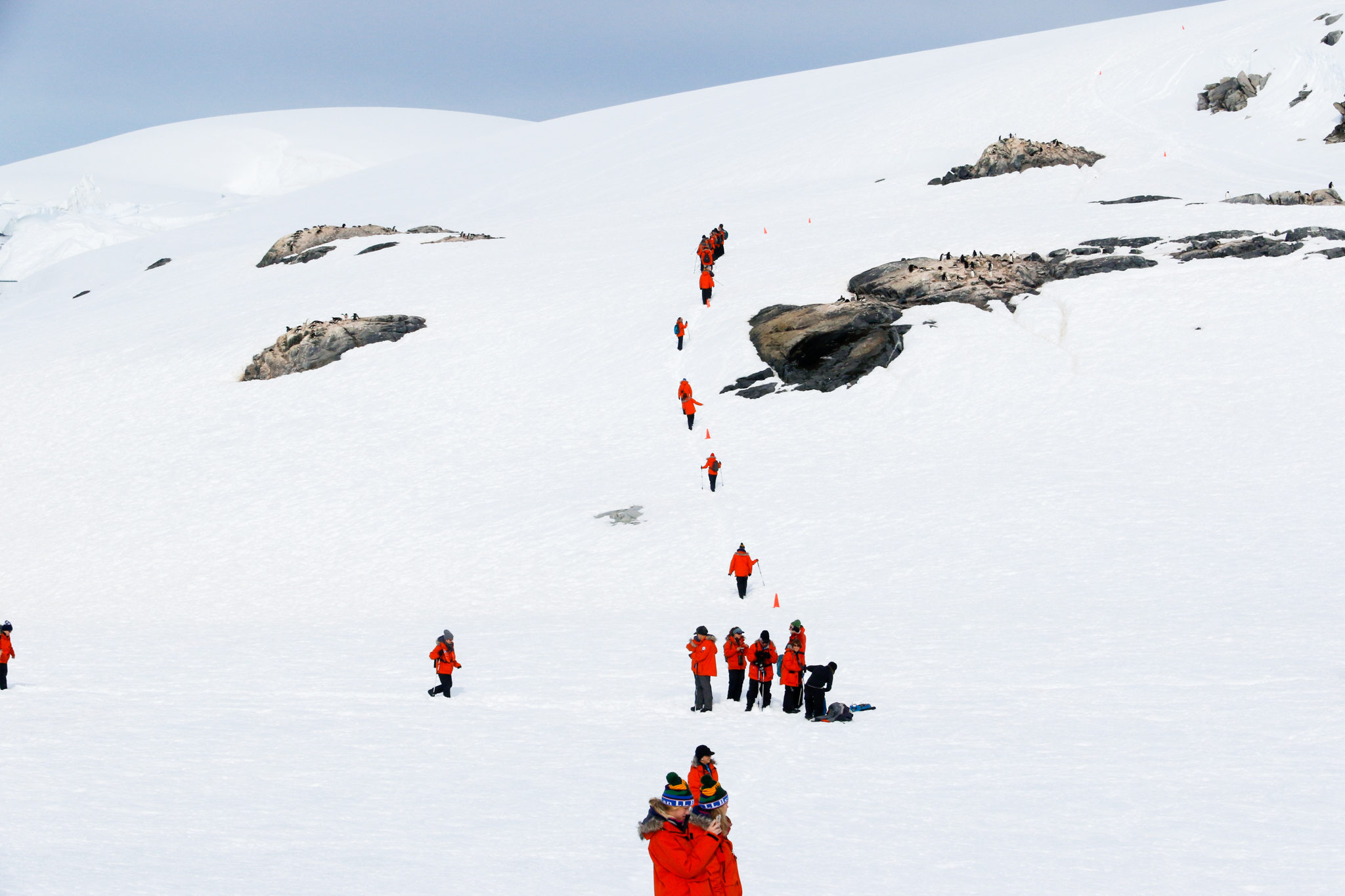 life in antartica trip 2019 dd tm 15