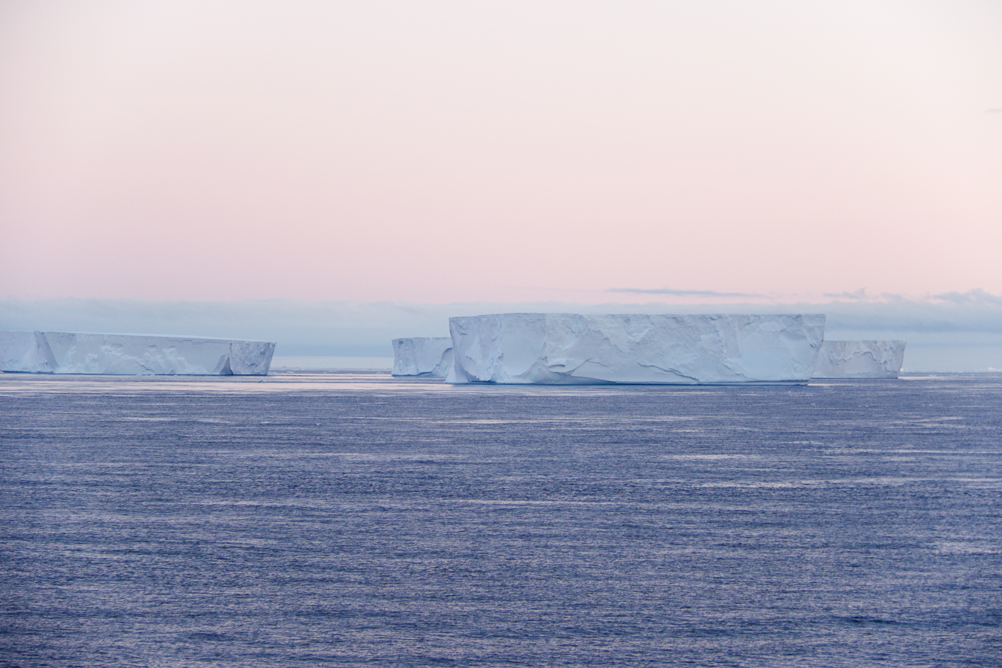 antartica icebergs