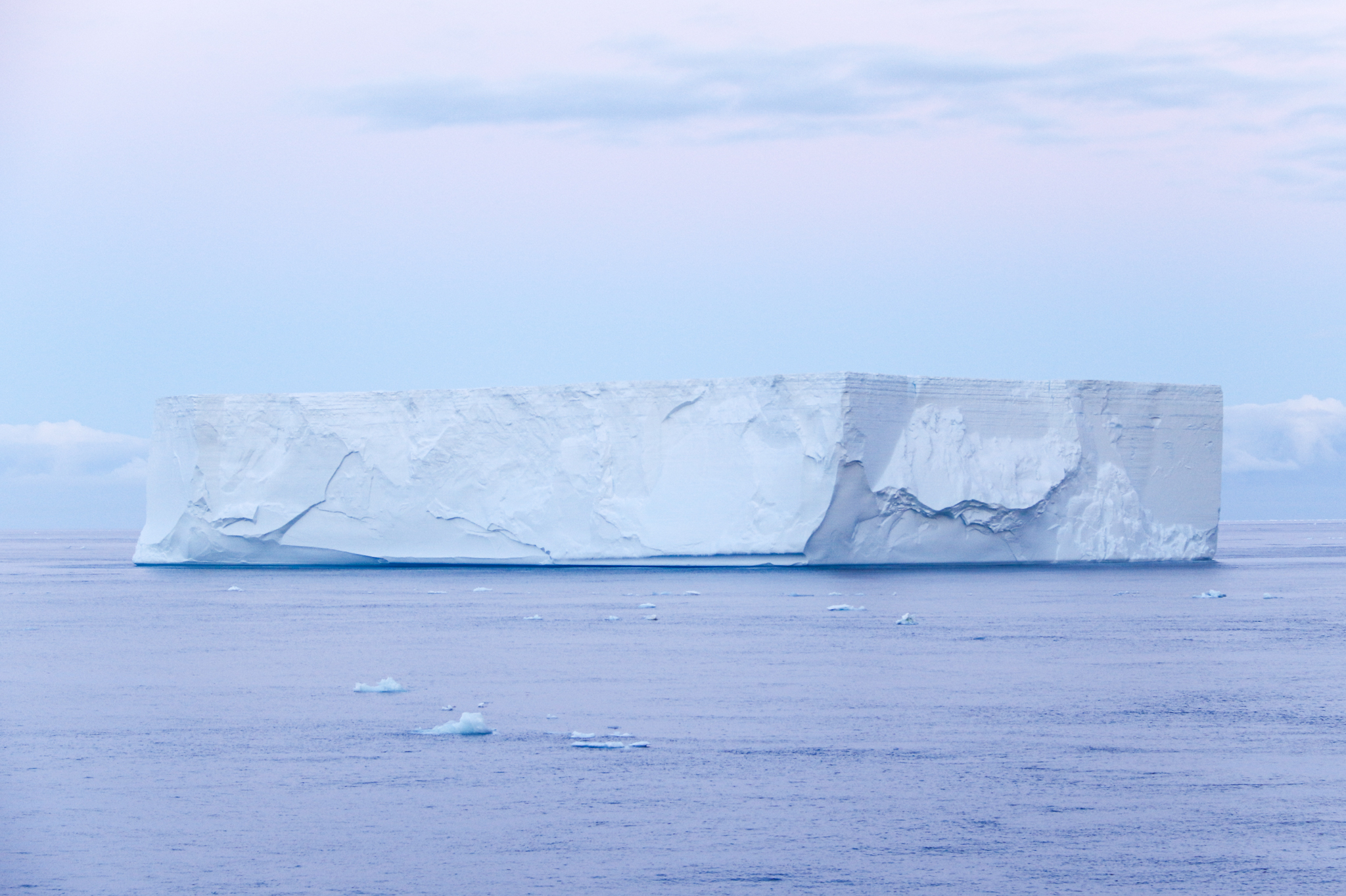 antartica icebergs