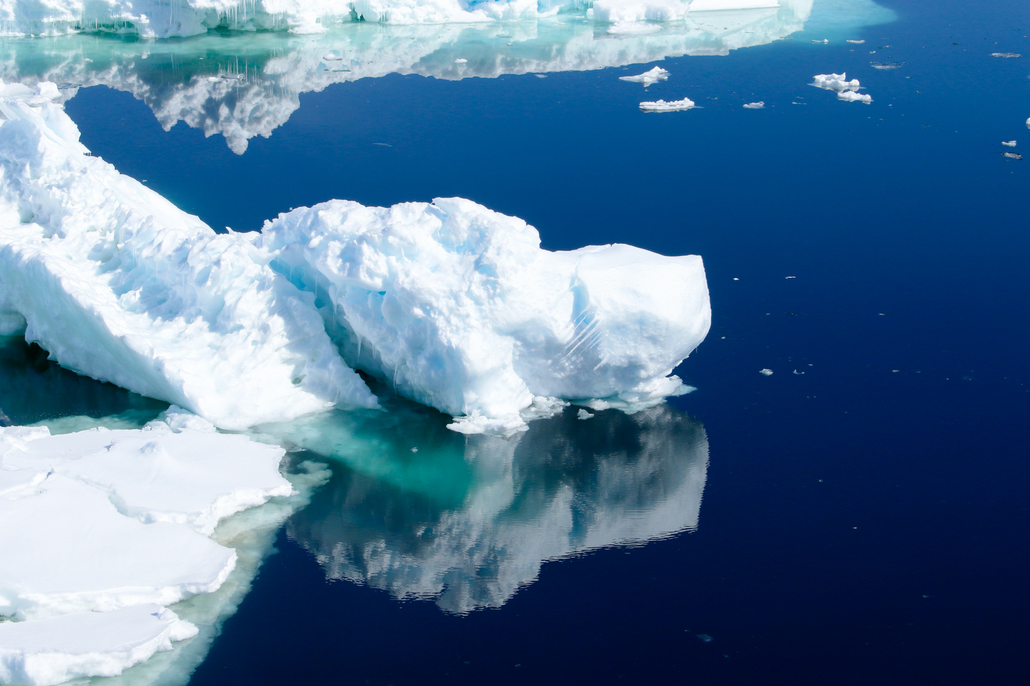 antartica icebergs