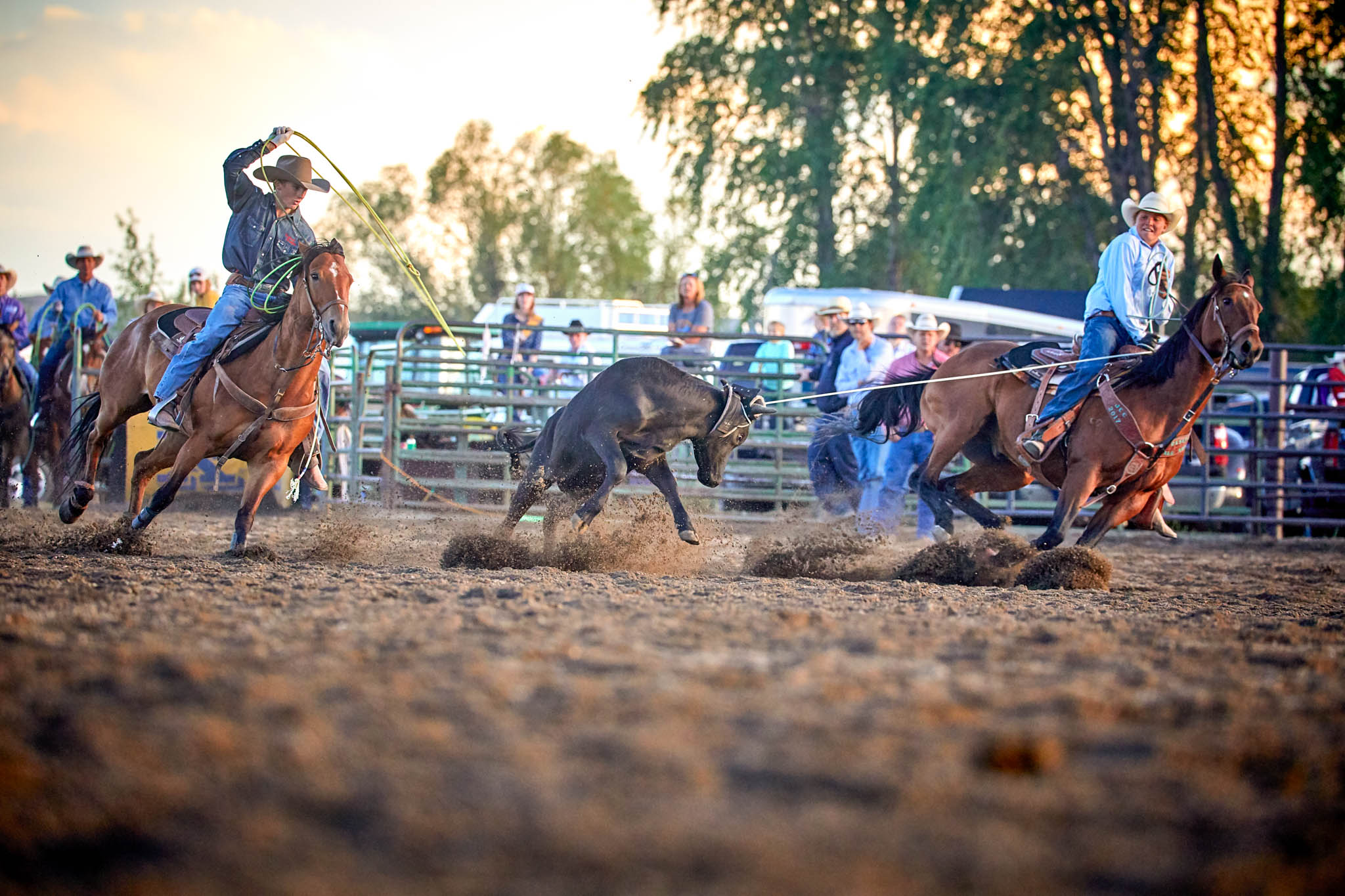 overlands cowboy life