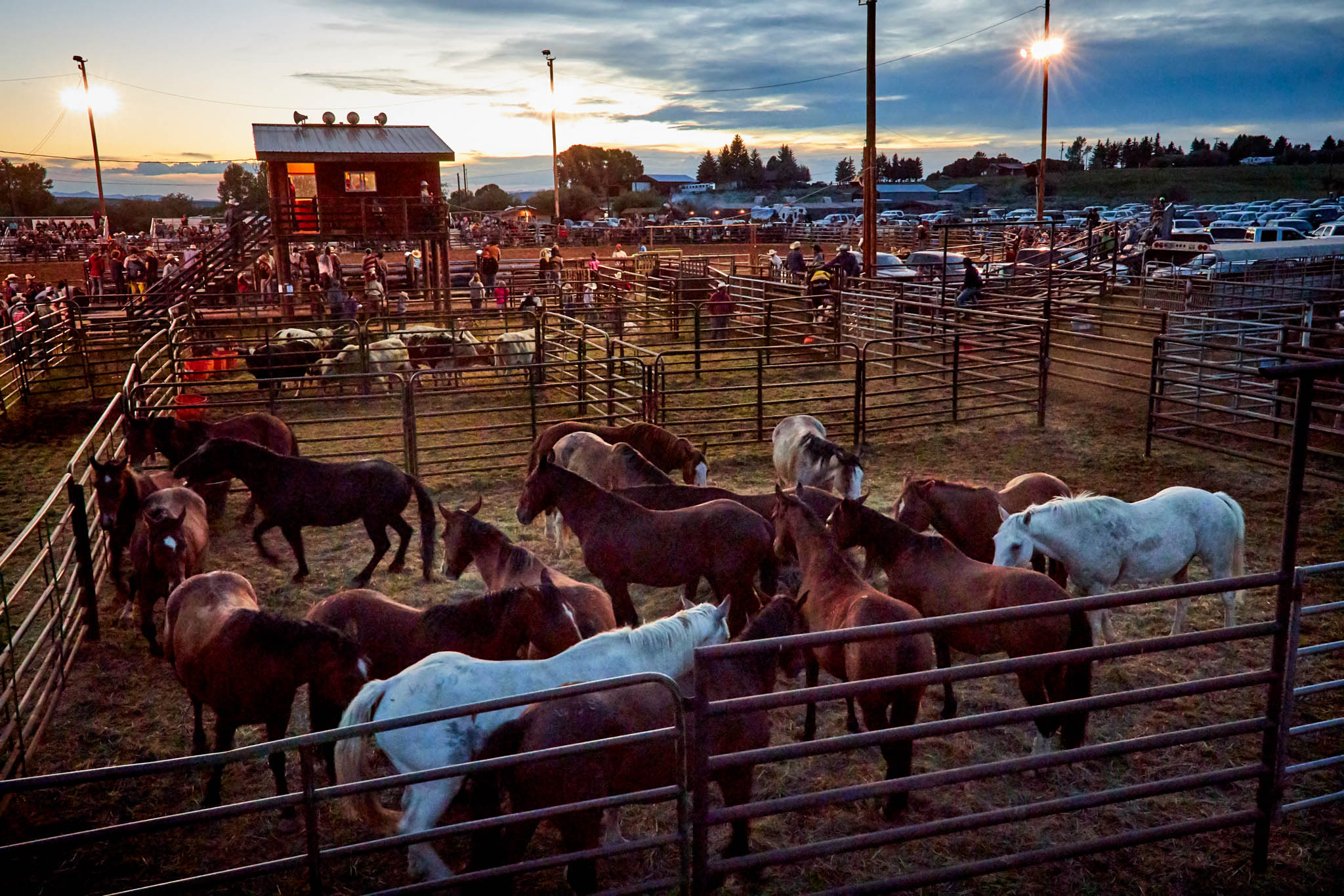 overlands cowboy life