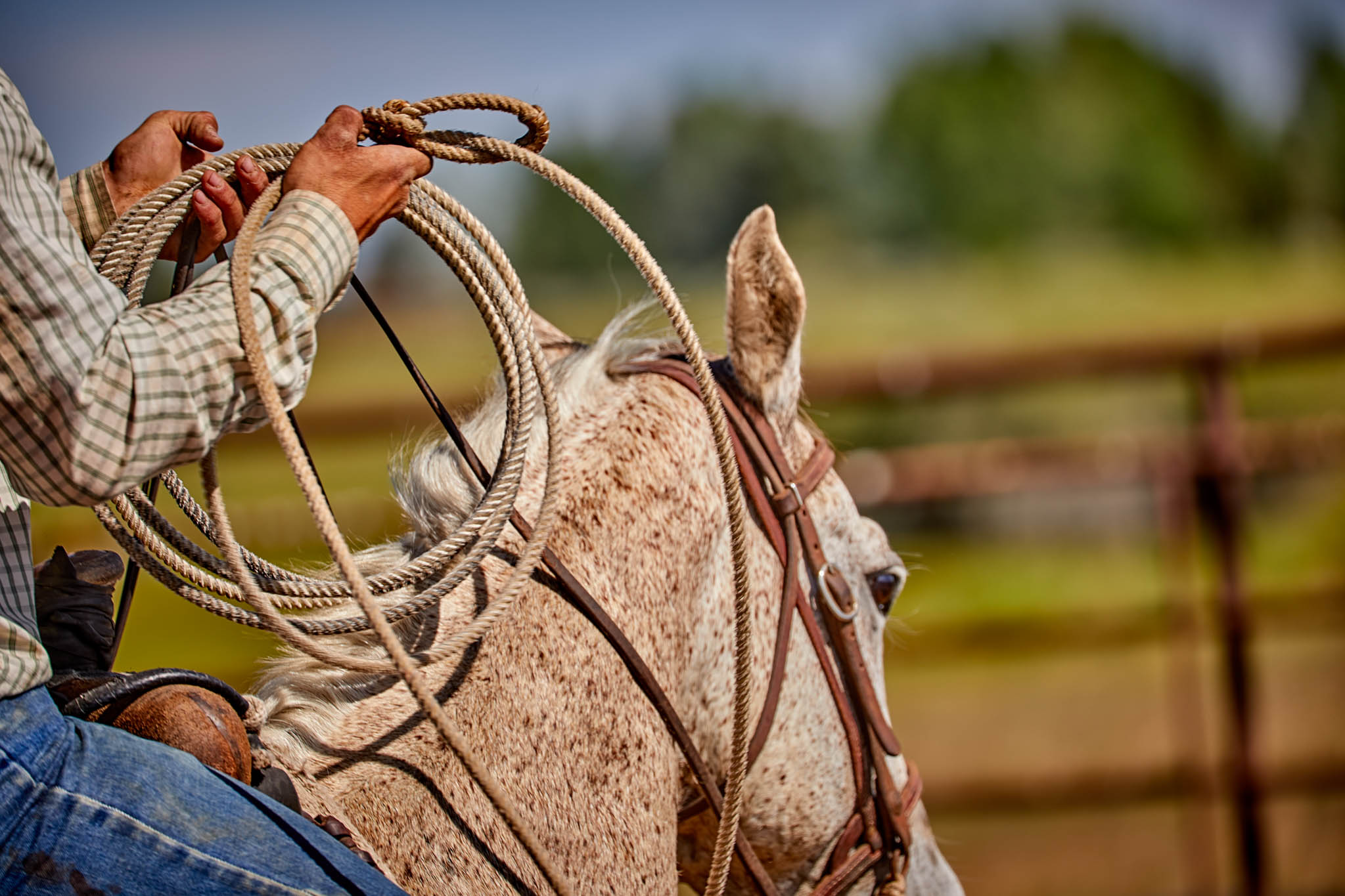 overlands cowboy life