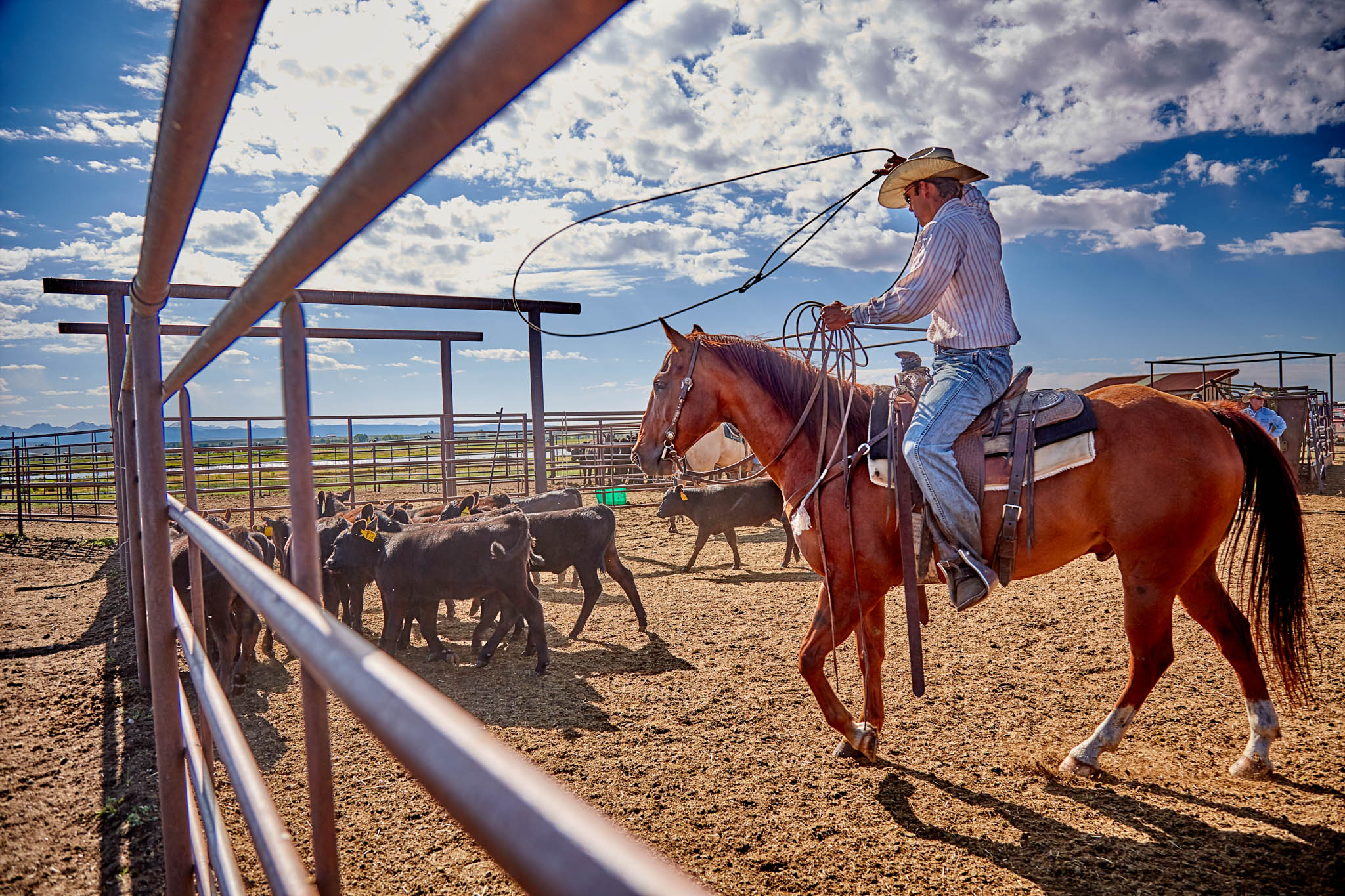 overlands cowboy life