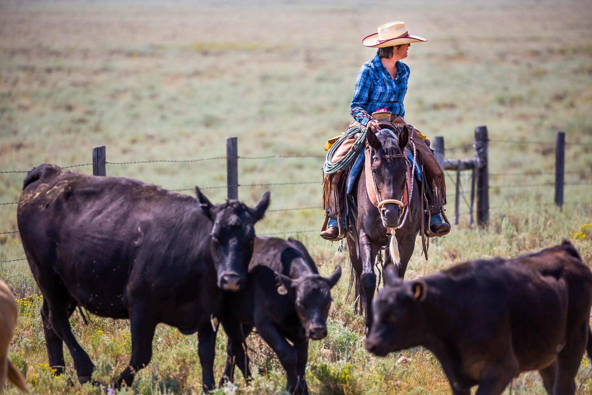 overlands cowboy life