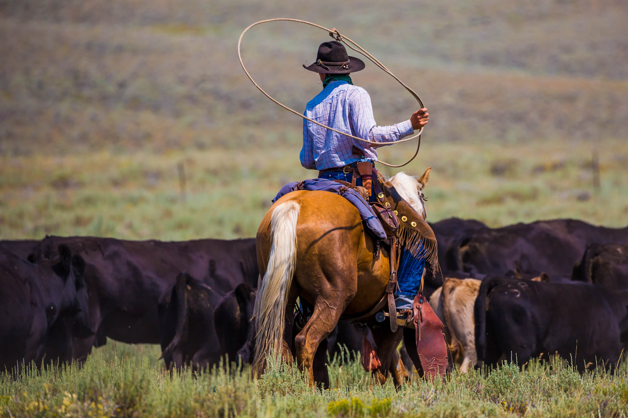 overlands cowboy life