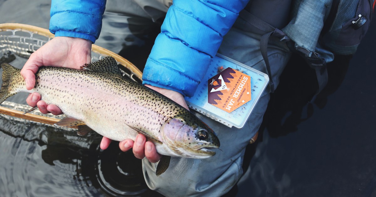 A beginner's guide to fly fishing: Everything you need to know - The Manual